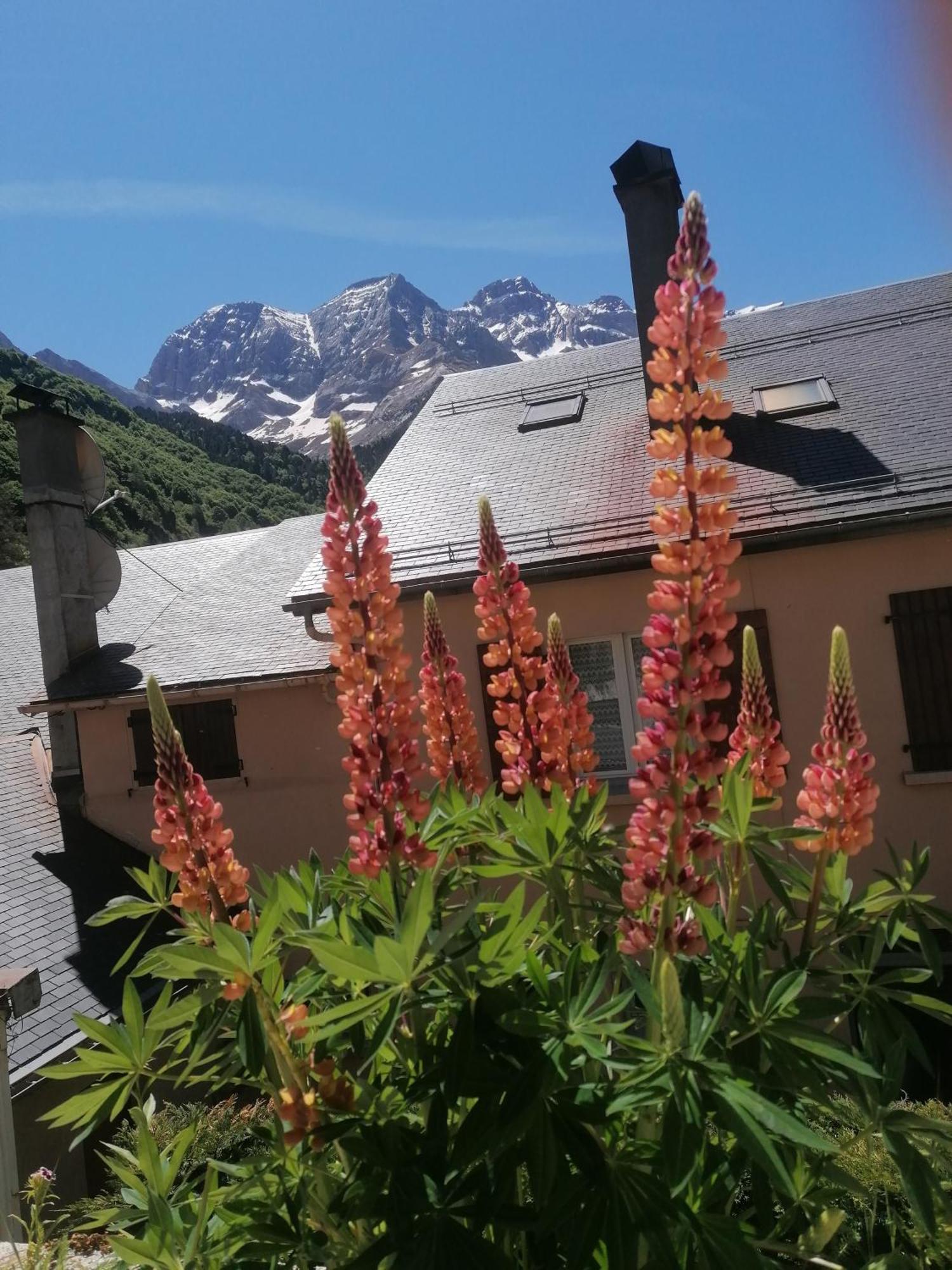 Chambres d'hôtes L'Astazou Gavarnie Exterior foto